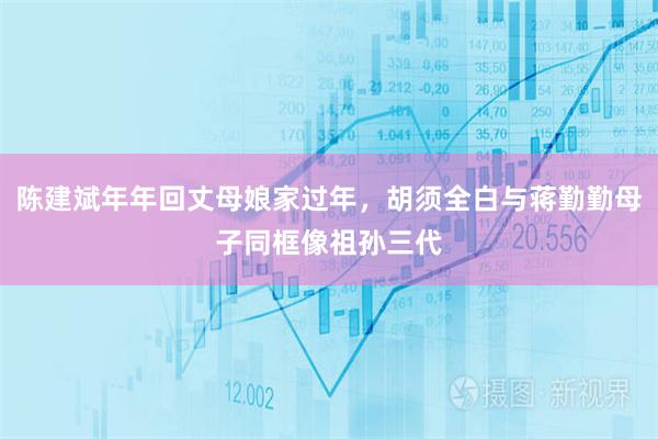 陈建斌年年回丈母娘家过年，胡须全白与蒋勤勤母子同框像祖孙三代