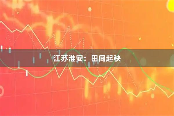 江苏淮安：田间起秧