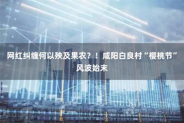 网红纠缠何以殃及果农？！咸阳白良村“樱桃节”风波始末