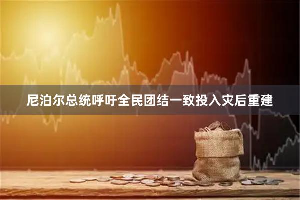 尼泊尔总统呼吁全民团结一致投入灾后重建